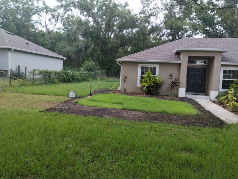 Cut it, burn it and spray it. Torching was much faster than shoveling & one tank goes a long way. ~$100 torch setup did the job in an hr instead of a few days of digging. I'm spraying the heavily weeded cut area to the left.