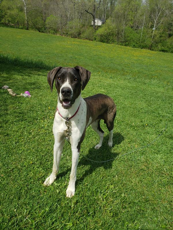 KIMBER