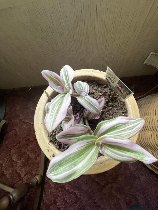 Review photo 5.