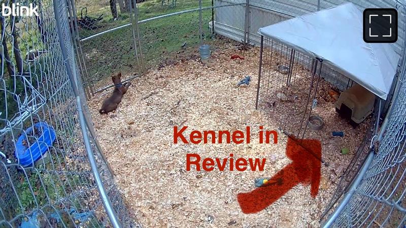 Kennel w/canopy