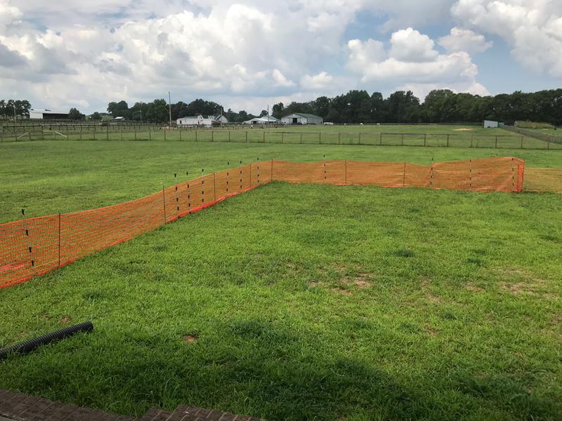 Temporary fence for our pets.