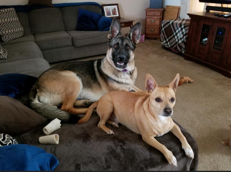 Ages 8 to 14 years & 6 months to 14 years