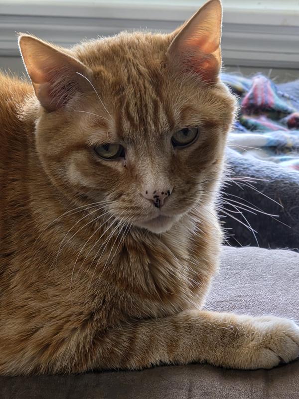 Oliver