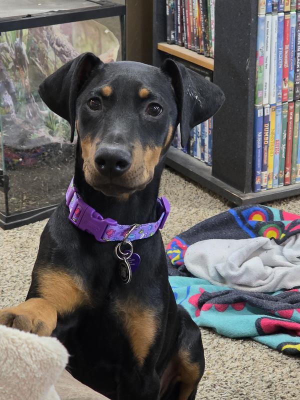 12 weeks vibrant eyes