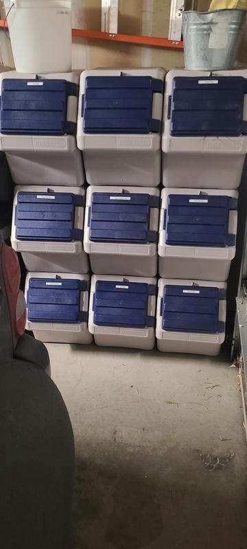 Totally organized!!