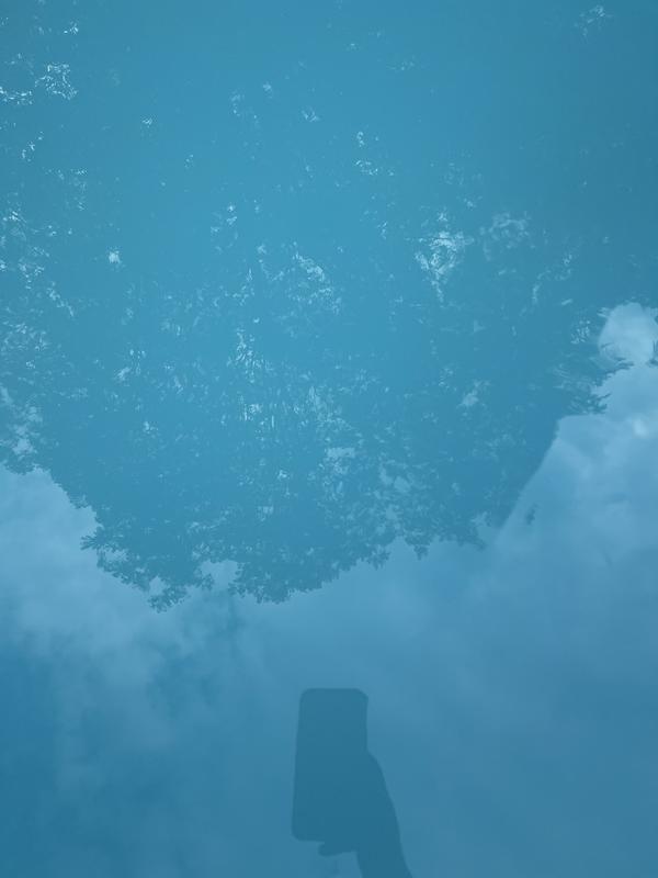 You cannot see to the bottom of our pool