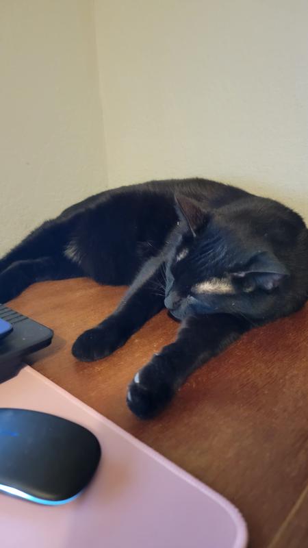 This guy approves of a 5 star rating