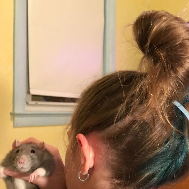 Healthy Pets ❤️