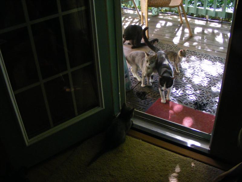 Smokey's friends