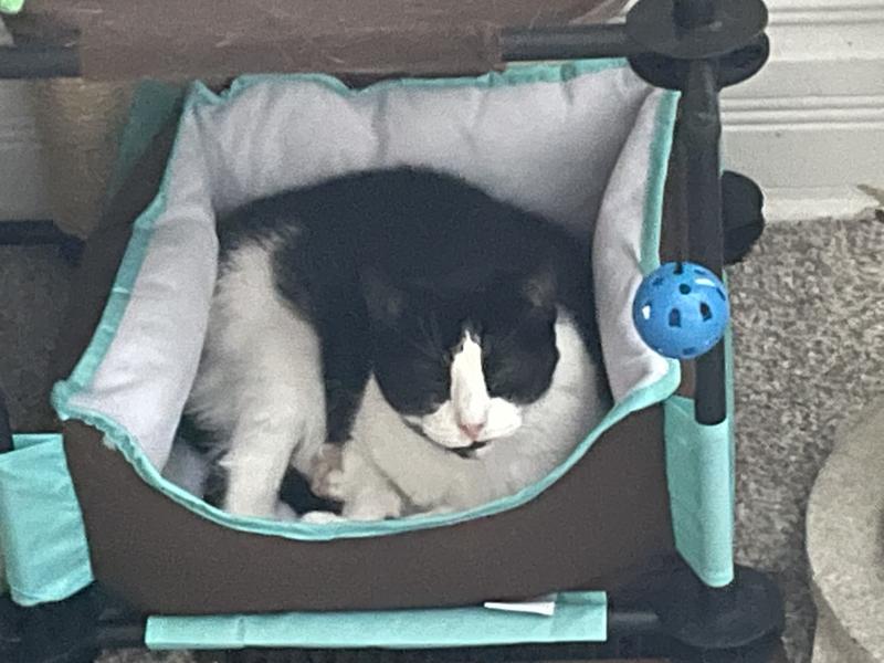 She’s 18 and happy