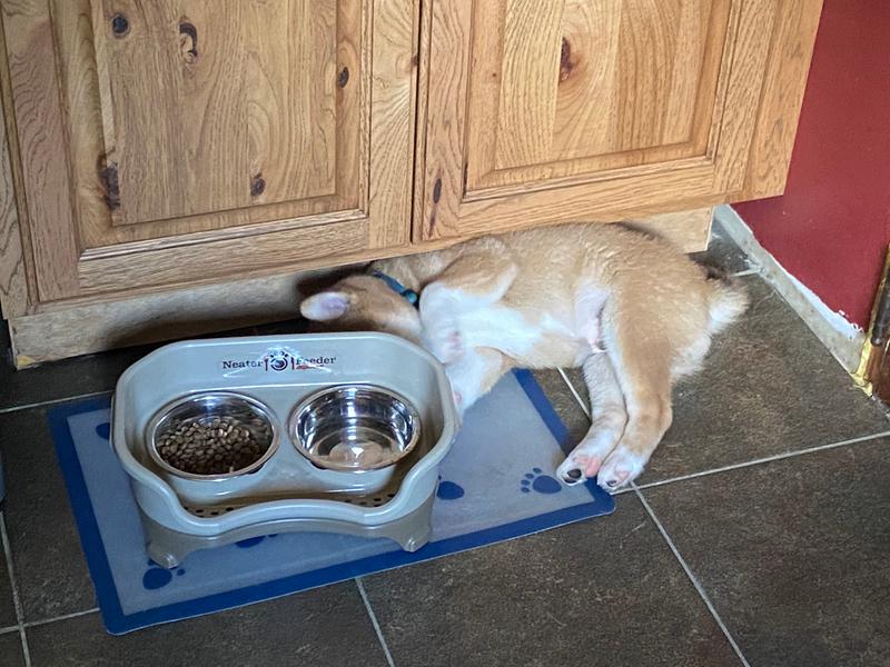 He loves it so much he napped near it!