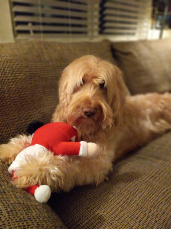 I Make Sure I Get My Vitamins Everyday!