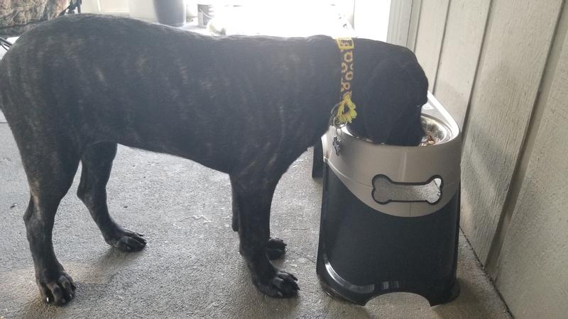 Good for her neck and back.