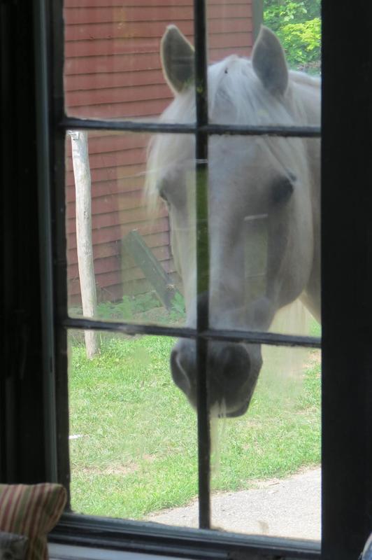 Please sir can i have more?