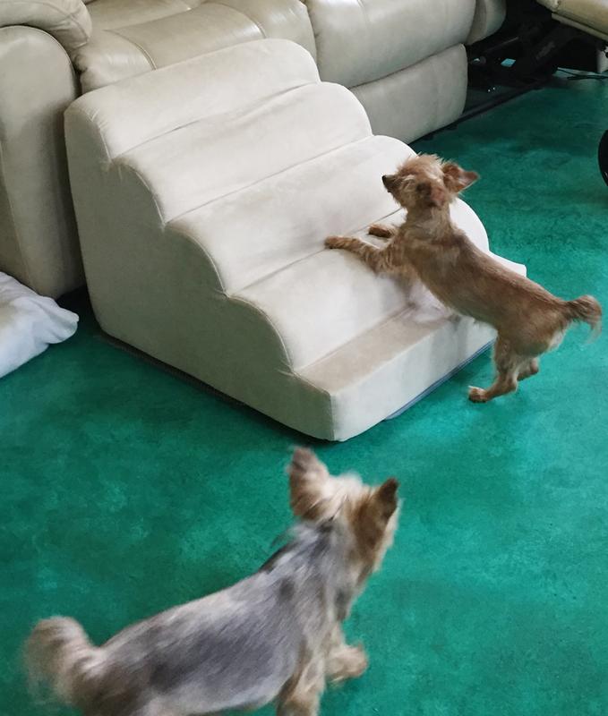 Sisters tests the waters...