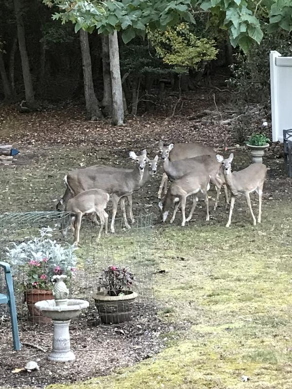 just part of our crew (16-total)