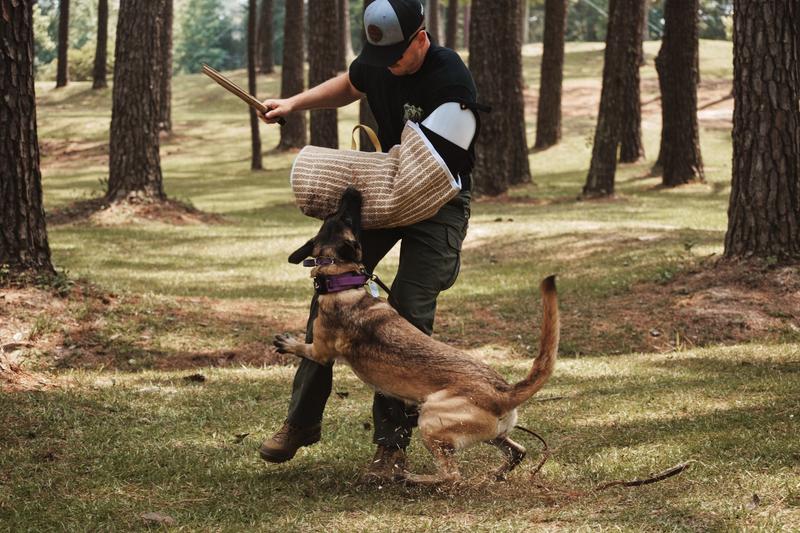 my sweet babies who love this food!