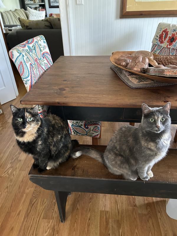 Waiting for their Churu!