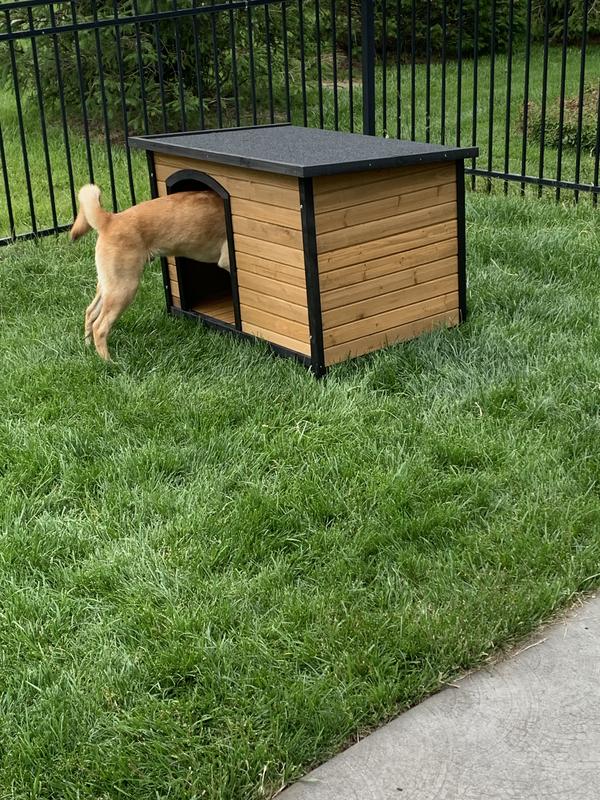 Luca is cautiously curious
