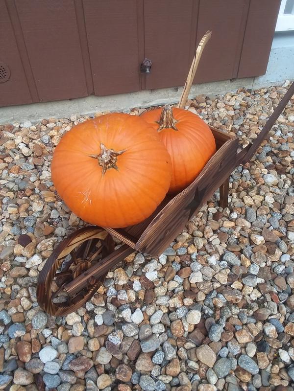 ❤ it! Need I say more!