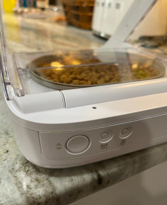 Open, sync and train buttons