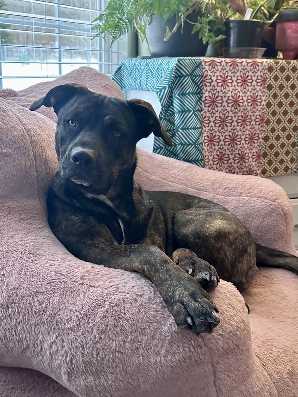 Review photo 2.