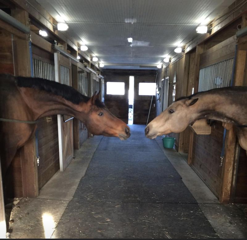 Riva and Sandy sharing stories about how much they LOVE Kent Blue Sentinel Senior