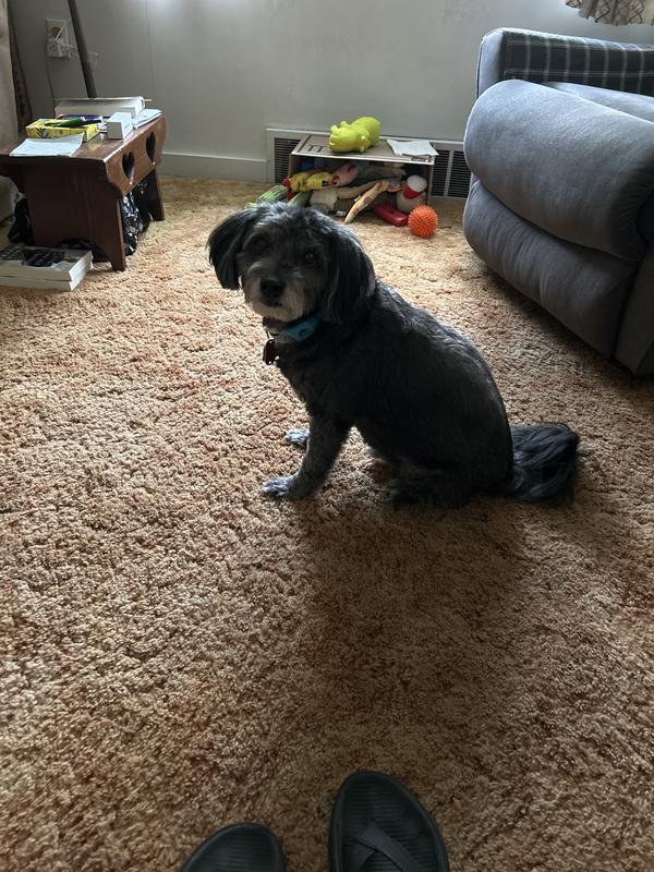 Finley I’ll be eight