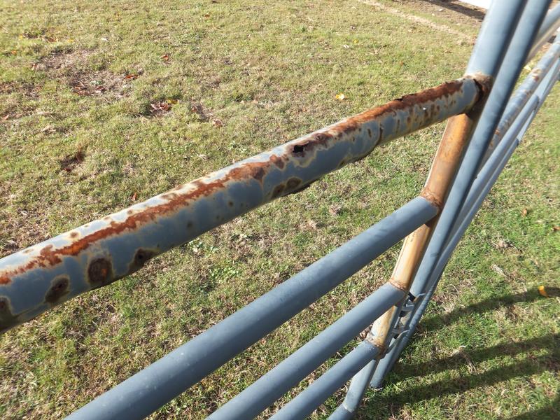 Some bars rusted, others are not