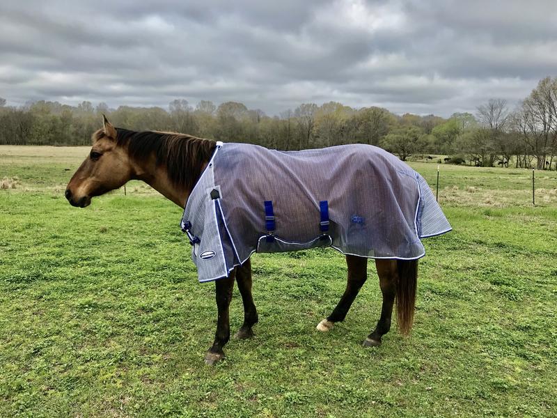 Pics without neck cover. Belly flap adds protection.