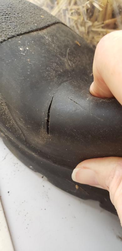Typical area for boots splitting. I keep these for dry days while in poultry pens.