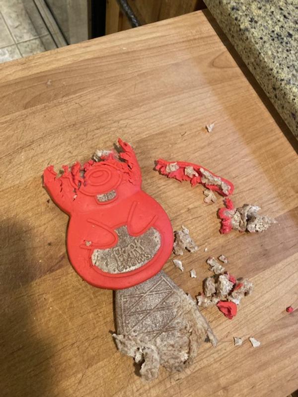 Beaver Chew after 20 minutes with our dog