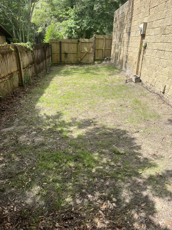 1 week after spreading.