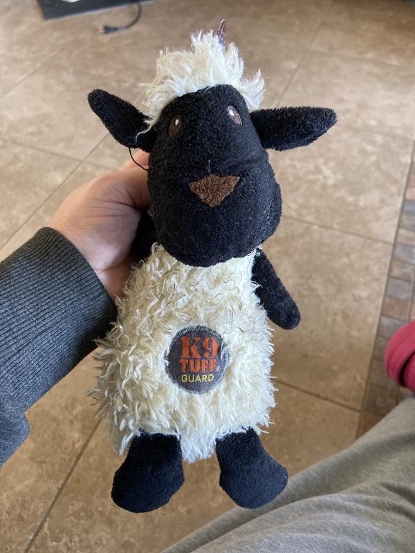 3 year old “Lamby”