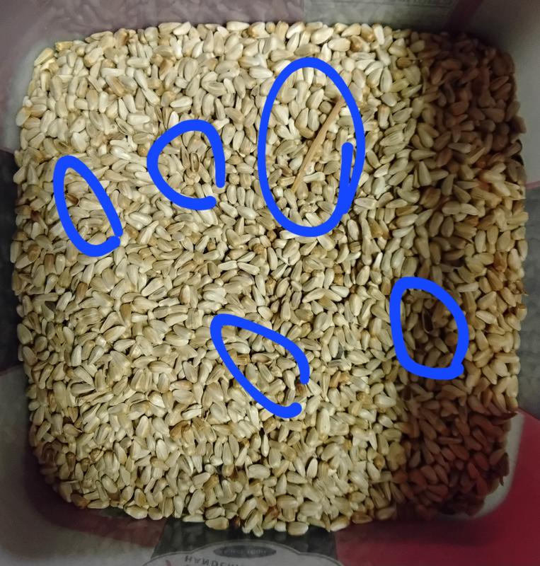 Stems and husks circled