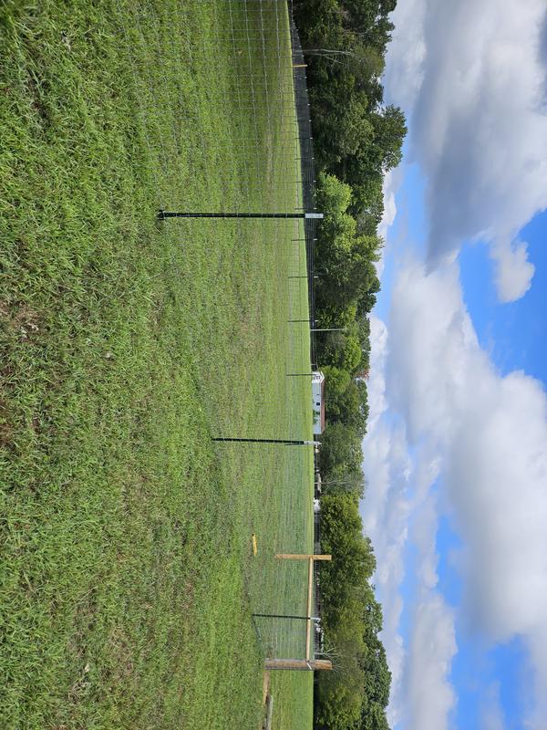 First section of fence @ the Homestead