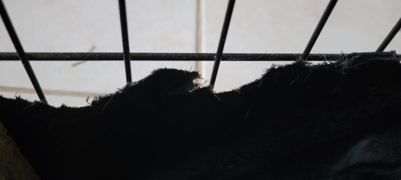 Review photo 1.