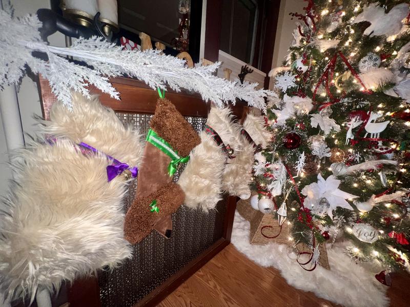 Christmas time