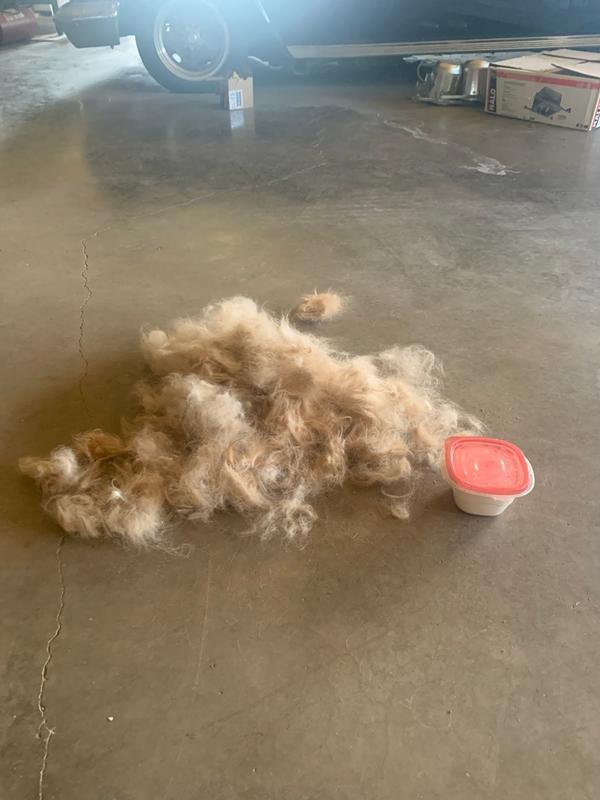 This is only a fraction of the fur I removed!