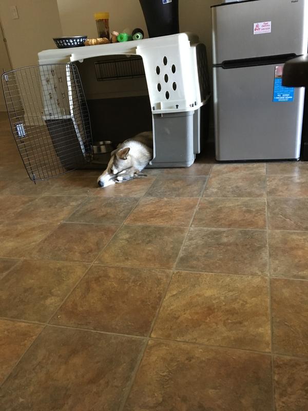 Tired after eating
