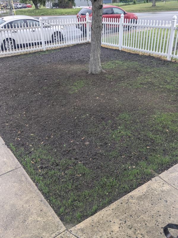 Day one and day 10th