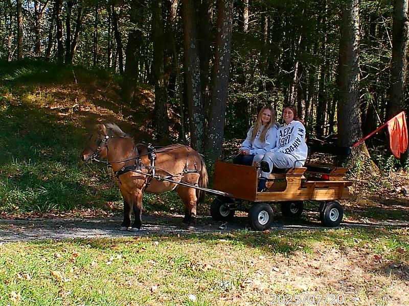 "Chumley" out for a ride