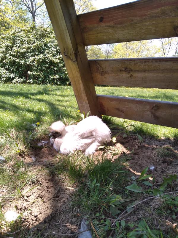 Love my dirt baths