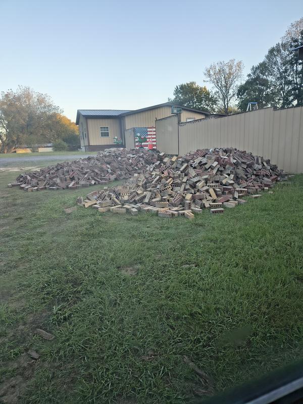 Seed germinated well