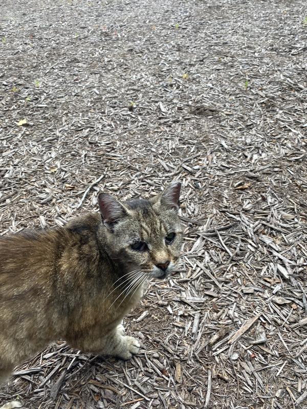 Our oldest resident, Wonder