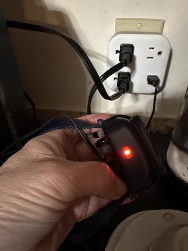 Plugged in but won’t charge