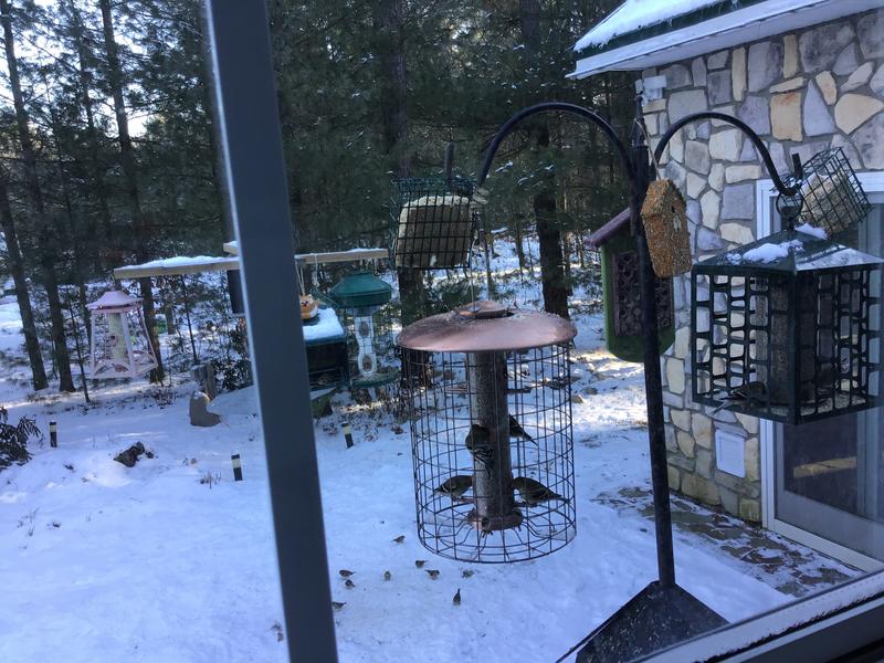 Christmas present for me and the birds