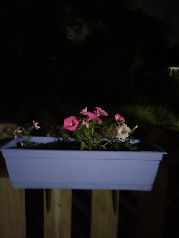Review photo 1.