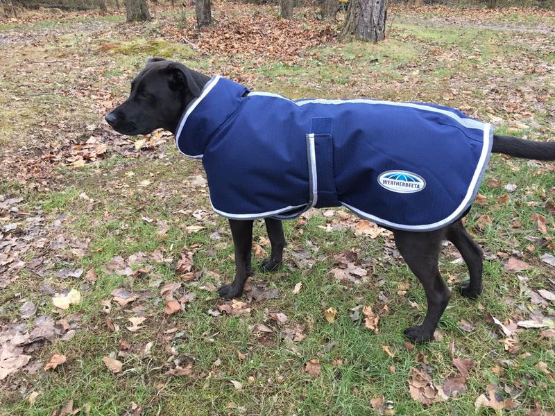 loves her weatherbeeta!!