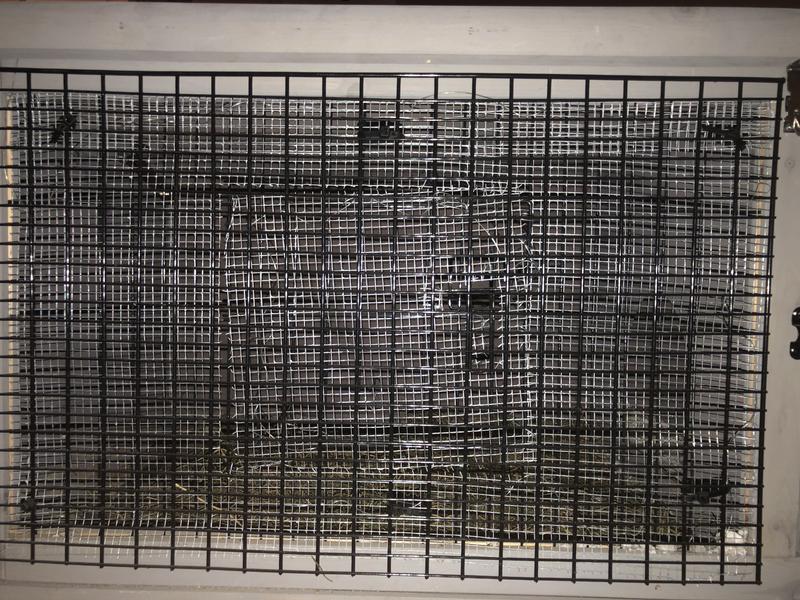 The front of the hutch that was reinforced but still failed to secure my quail.